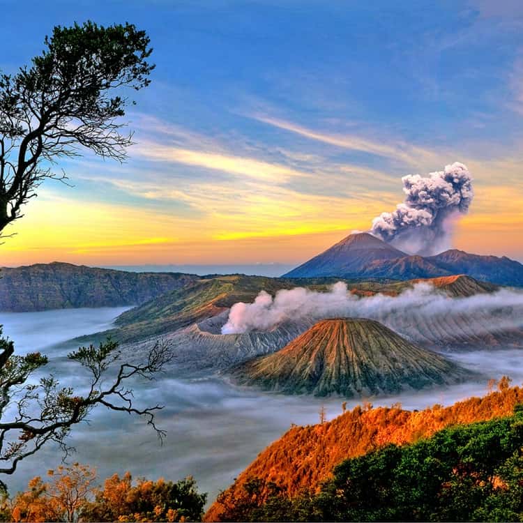 aureliacintya0's tweet photo. Next summits puncak Bromo dari Indonesia #BitgeTurns8 #8uiltforPerfectTrades https://t.co/PztegWvmYA