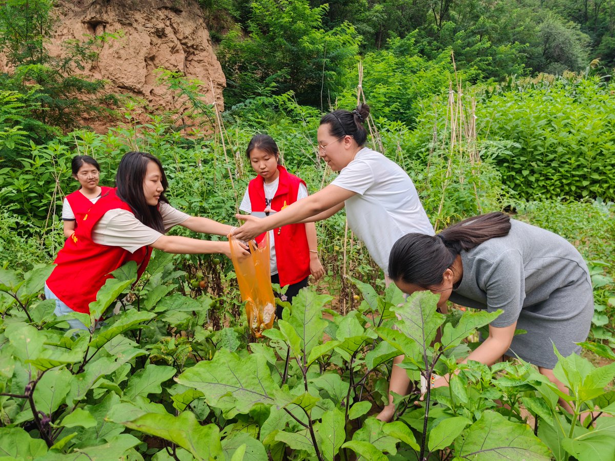 sweeu205163's tweet photo. Community garden harvest day this Sat 10am! Join us to pick fresh veggies, make soup together u0026 meet neighbors. Free snacks included! https://t.co/QWJhRdCZKX