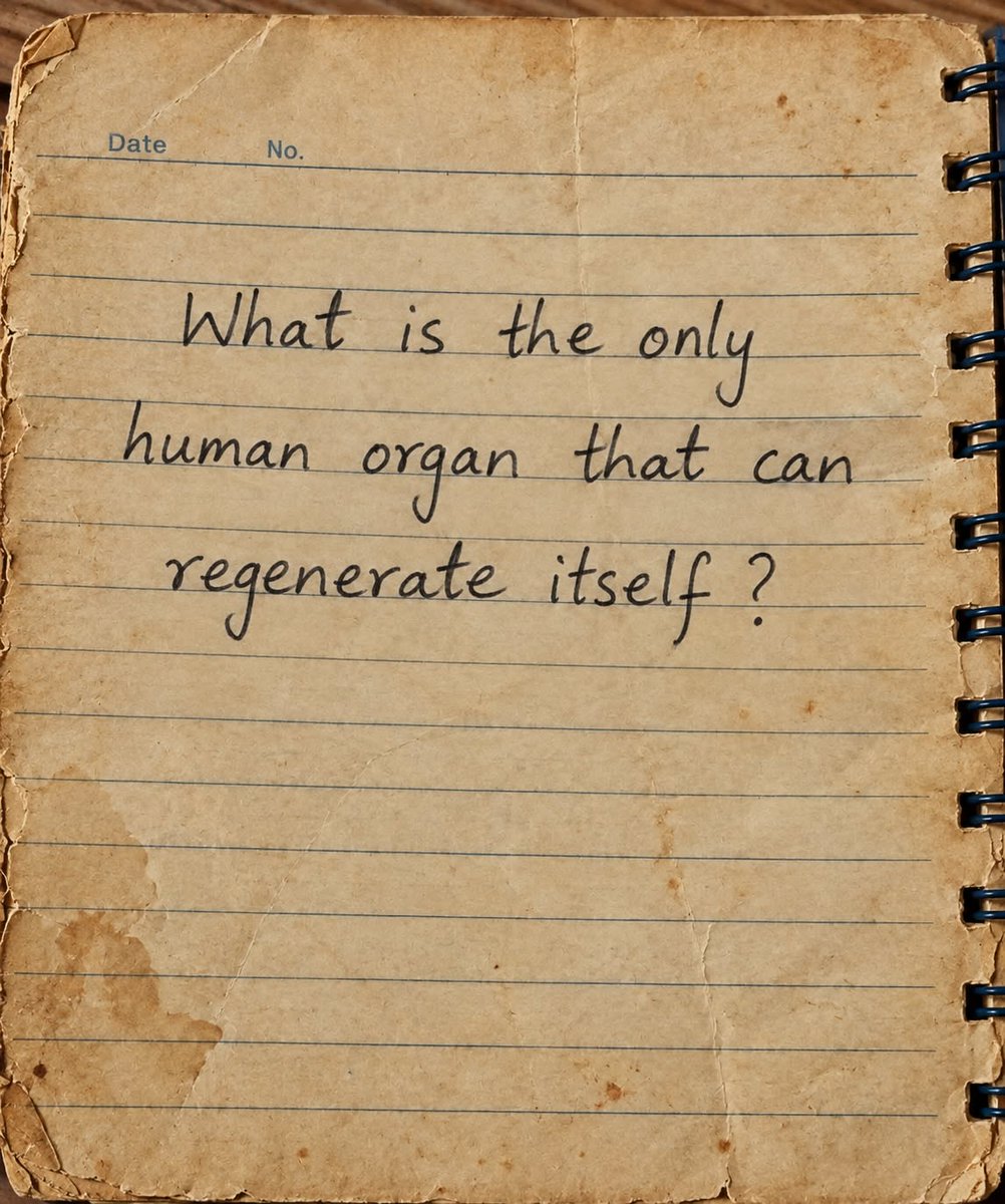 Maryx_650's tweet photo. Only biology students knows the answer.

Do you https://t.co/ukYjcrqaxe