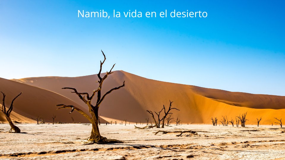 GerardoCoronaG's tweet photo. Situado entre una elevada meseta interior y el océano Atlántico, el desierto de Namib se extiende a lo largo de la costa de Namibia, Sudáfrica.
https://t.co/jQnoYvlp3e https://t.co/NZotoz4y4P