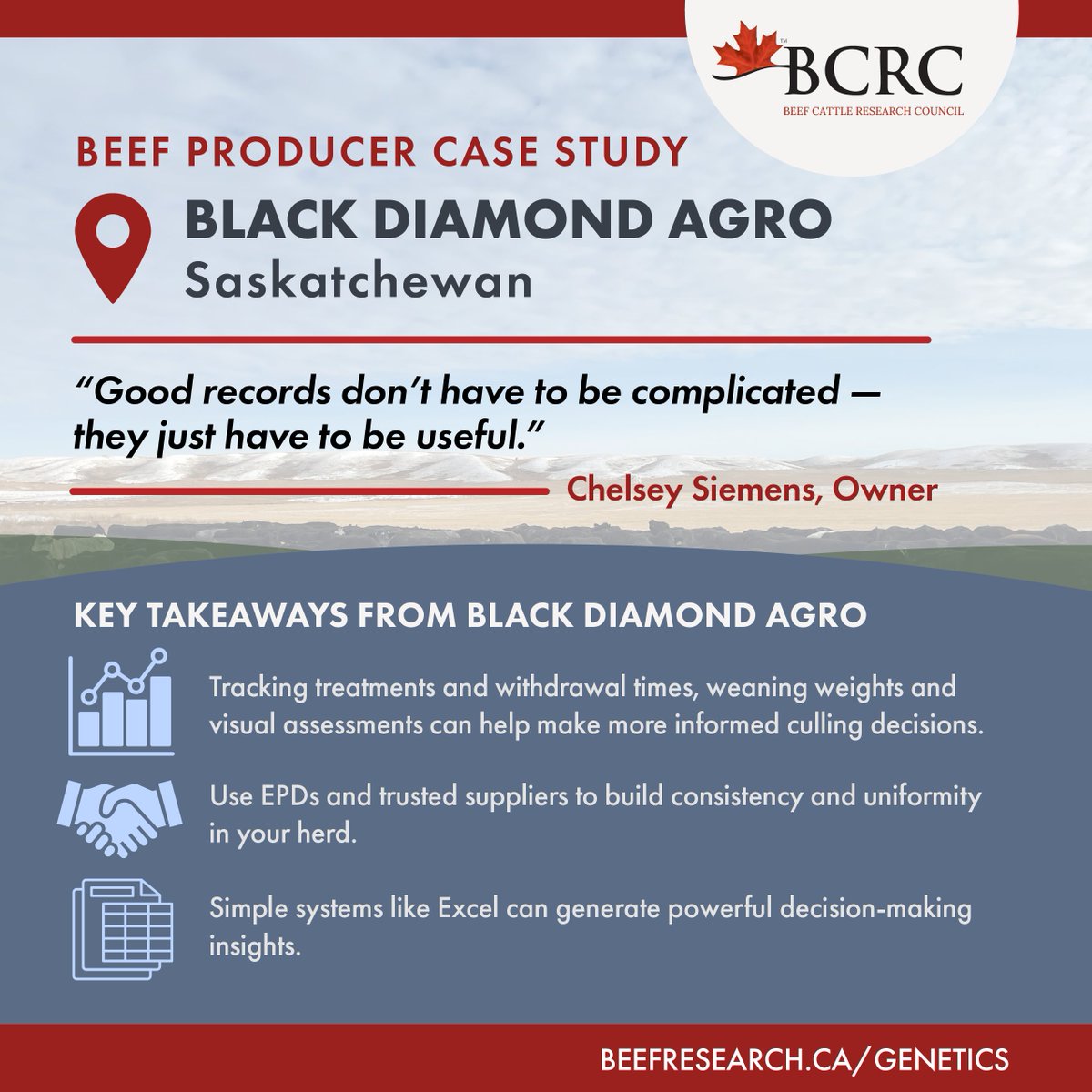 BeefResearch's tweet photo. Consistency in data collection can drive real progress over time.  

Read the full case study from Saskatchewan beef operation, Black Diamond Agro, which uses genetics record-keeping to help make decisions and reach their cattle breeding goals.

https://t.co/U9ZyyjLyCE https://t.co/nBe4b6hBBt