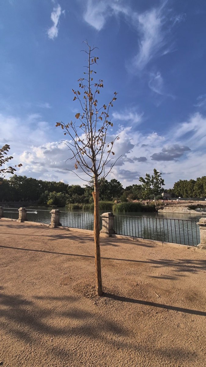 ccooayto's tweet photo. @AnadelaCuevaF @PatrimNacional Ya hay 4 secos no dejáis ir a nadie a la inauguración para evitar los abucheos y el Motín de Aranjuez no tenéis vergüenza @el_pais https://t.co/9KmwynGPo7
