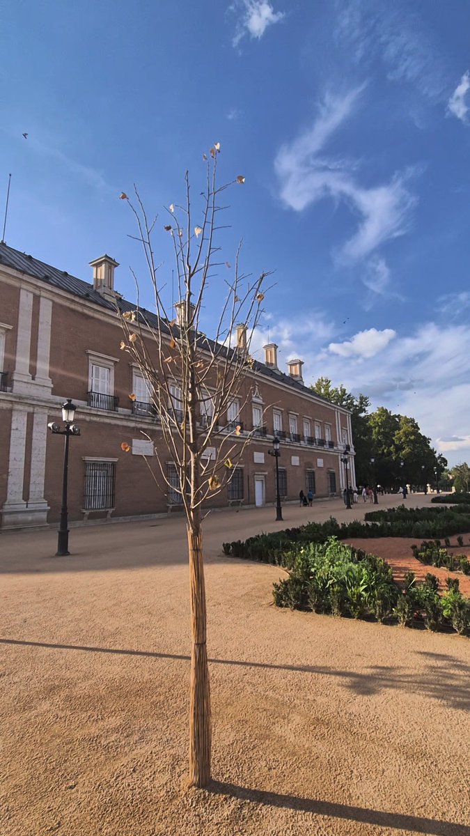 ccooayto's tweet photo. @AnadelaCuevaF @PatrimNacional Ya hay 4 secos no dejáis ir a nadie a la inauguración para evitar los abucheos y el Motín de Aranjuez no tenéis vergüenza @el_pais https://t.co/9KmwynGPo7