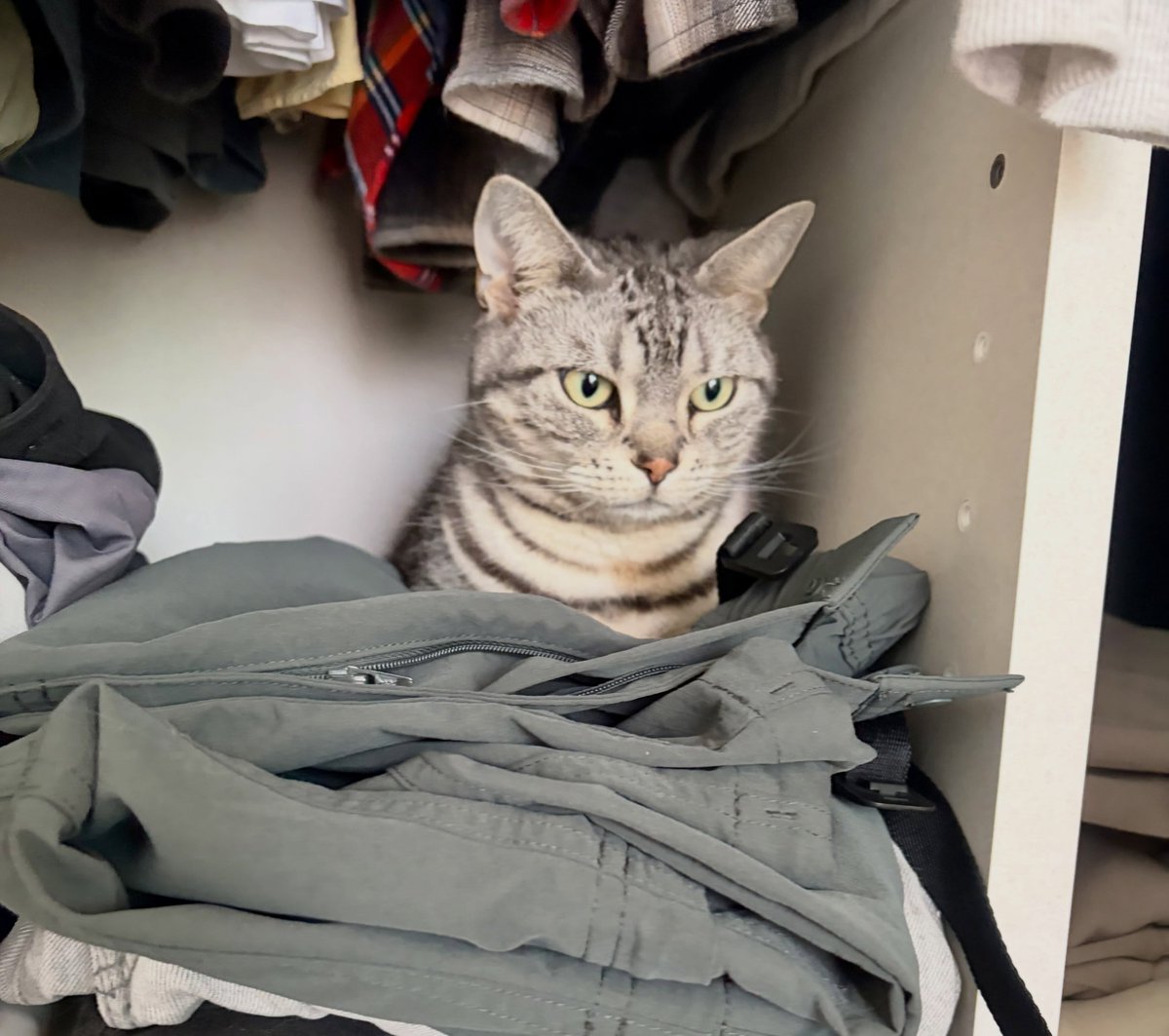 SimaNicholw1ps's tweet photo. You like my brother’s closet too, right! https://t.co/KvhUw8zxkr