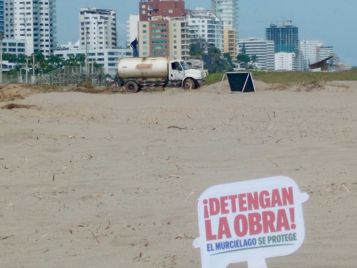 cabaro1955's tweet photo. Manta celebra la decisión judicial de detener obras del patio 600 en la playa El Murciélago. Vivas Manta carajo https://t.co/934VbwRYFk
