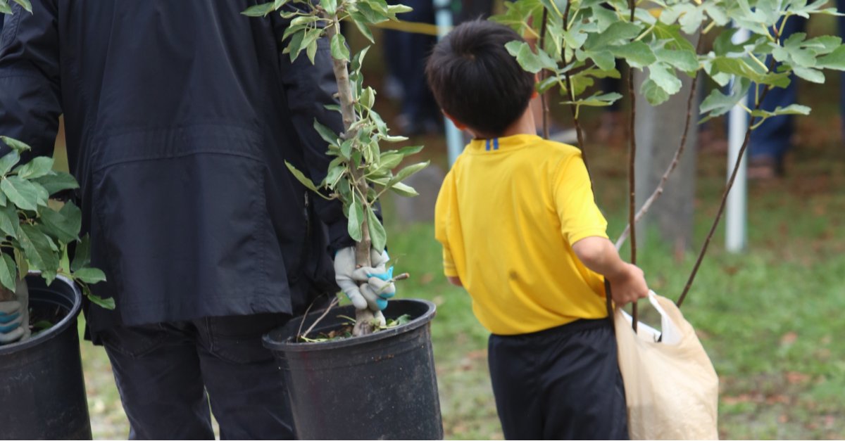 ParkBoard's tweet photo. Information bulletin: Support a greener Vancouver this BC Forest Week, discounted tree sale launches today: https://t.co/1zDgRvNb9s https://t.co/qN5KsOvRk6