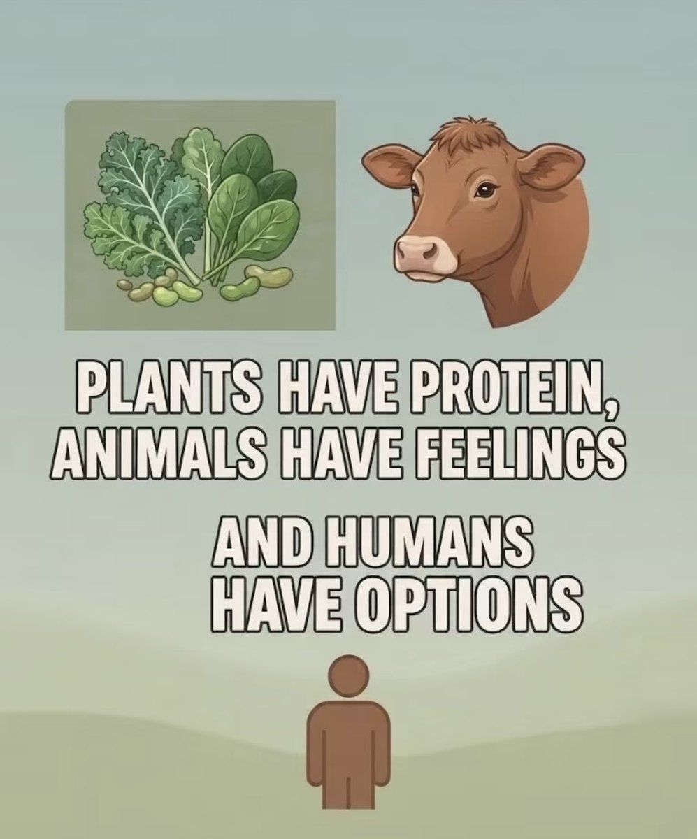vivienvegana's tweet photo. Go vegan https://t.co/iR2ej0Iuh2