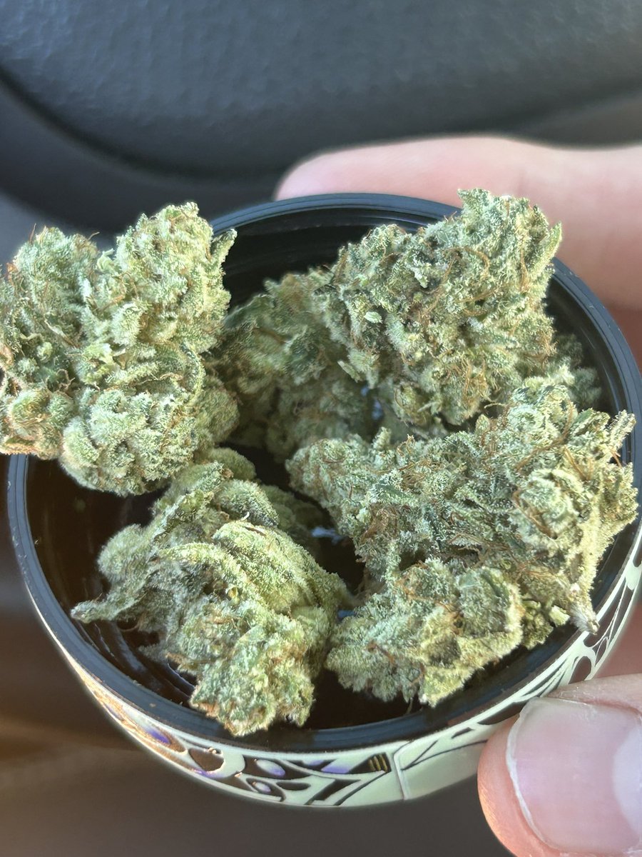 Germanykush1's tweet photo. Weed Brakel, Höxter, Beverungen, Marienmünster, Willebadessen, Warburg, Hofgeismar, Bad Karlshafen, Trendelburg, Immenhausen, Grebenstein, Calden, Vellmar, Kassel, Baunatal, Fuldabrück, Lohfelden, Niestetal, Kaufungen, Guxhagen, Melsungen https://t.co/PNPR1EShjP