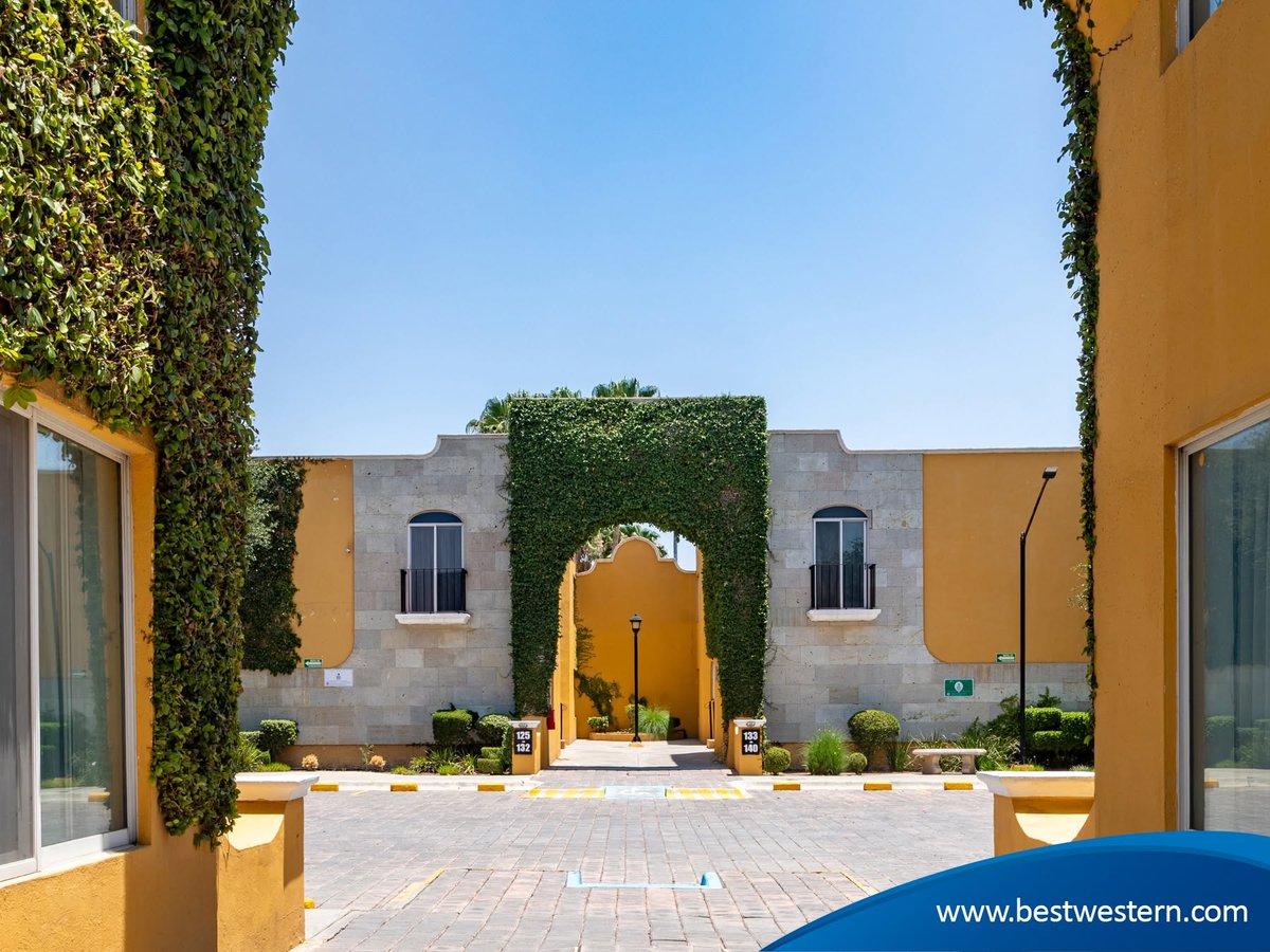 BW_Saltillo's tweet photo. Un Refugio Tranquilo en Medio de la Ciudad 😌🌆 En Best Western encontrarás un ambiente tranquilo donde puedes relajarte después de explorar Saltillo o bien después de un largo día de trabajo.

👉Reserva con nosotros en https://t.co/wd3ToV2kT9 💻 / 📞 52 + 844 438 9330 https://t.co/AjcpxJwaVS
