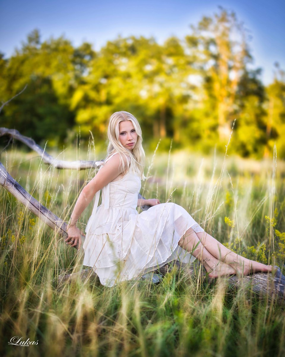 HaileyBenkitt's tweet photo. A quiet moment suspended in time, surrounded by soft grass and golden warmth. https://t.co/9oXNPs64rB