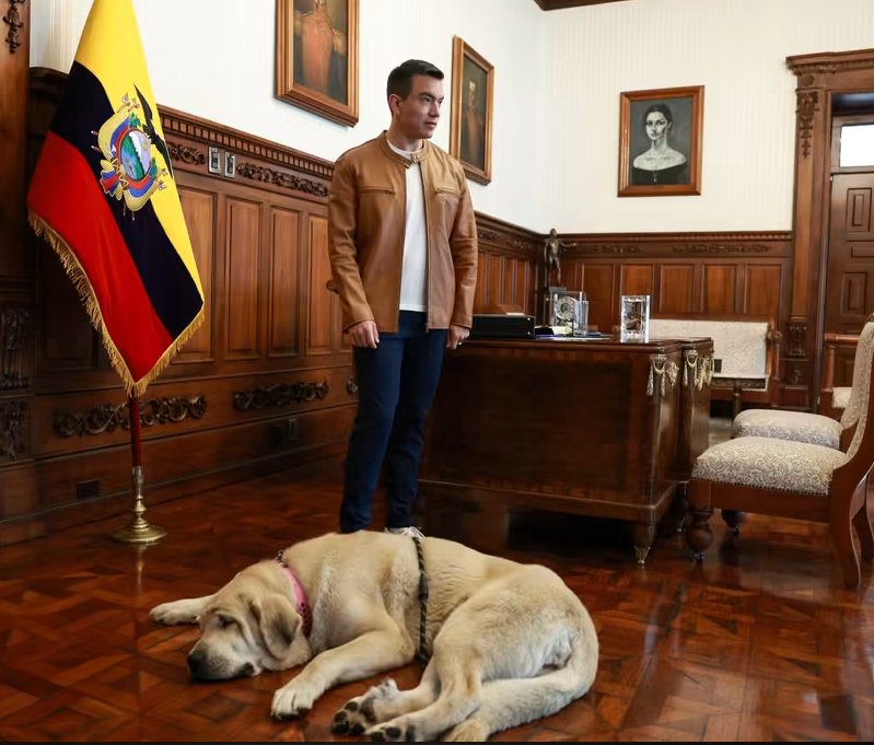 patynunezCh's tweet photo. ¡Cuando lo insultas,  lo persigues, Pero al final quieres ser como él!
@RC5Oficial 

  #LaCopia.              /.            #ElOriginal https://t.co/cZqzAVeWR0