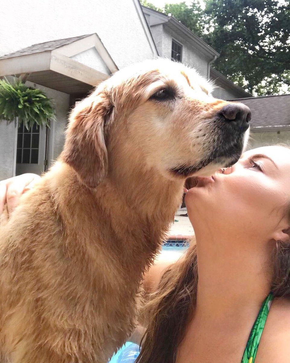fatik9queen's tweet photo. He looks sweet here.
Last night he mounted me, forced that thick knot in, and kept me locked.
Full video in private.
Link https://t.co/5fSmRq4SCL
#LA #UN #America #dogs #K9 https://t.co/VZmHqfCMMo