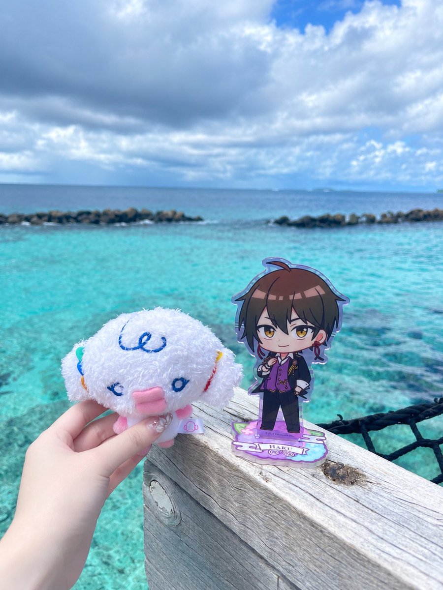 ruko_rukoo's tweet photo. 海‼️ https://t.co/HdukNJw0mT
