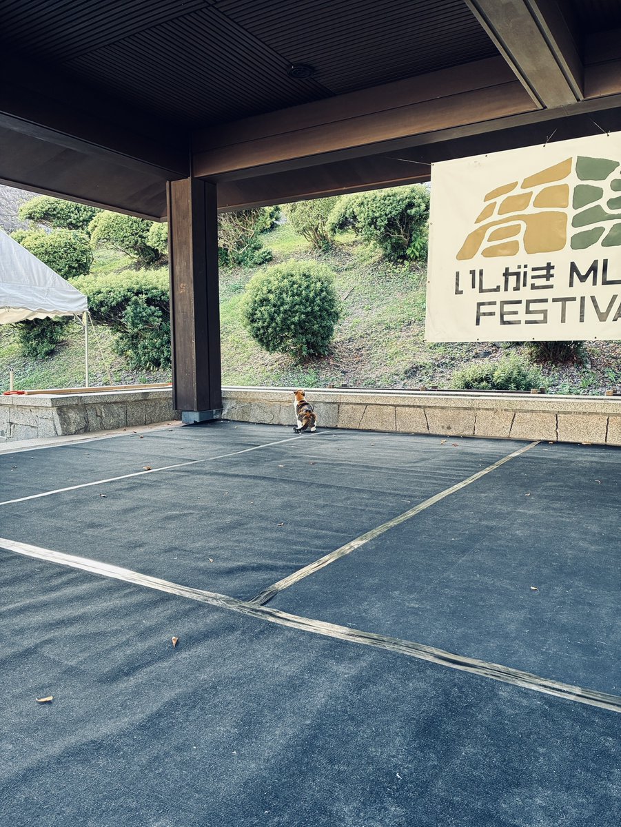 ishigakifes's tweet photo. 恐れ入ります。

ライブは明日です。

🐈️

#いしがき2026 
#いしがきミュージックフェスティバル https://t.co/iBMhLyaVl0