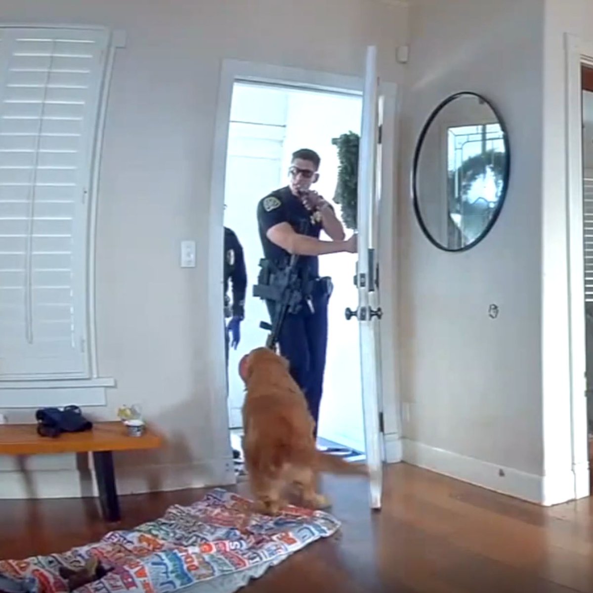 Dexerto's tweet photo. A dog repeatedly tried to play with an intruder who broke into his family's home

Nash offered his toys to the man, who was eating snacks and taking naps before police showed up https://t.co/FMWxNEYFFF