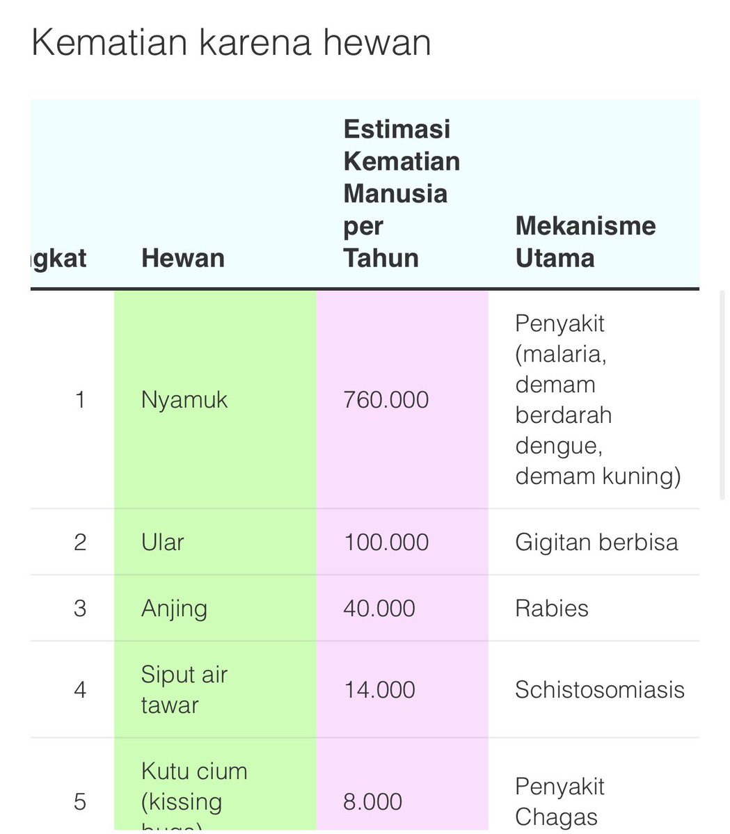 IHANslast's tweet photo. [HO2ANGHAE - LEEHAN]

Nyamuk menempati posisi pertama sebagai hewan paling mematikan bagi manusia. Penyakit malaria menjadi penyumbang terbesar angka kematian tersebut. Lebih banyak ruginya daripada manfaatnya nyamuk itu, Ihan gamau saling membantu. 😭😭 https://t.co/X0j6bzh11D