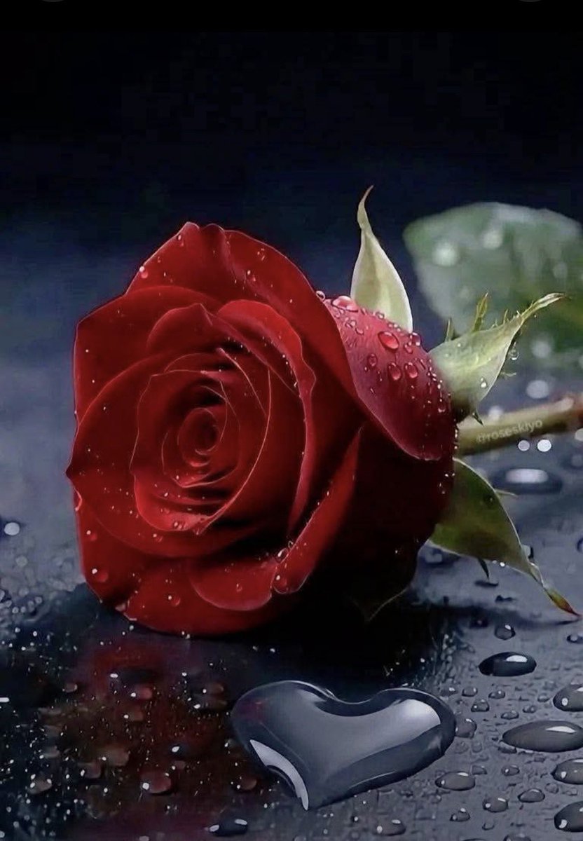 shZ447's tweet photo. #GPG⭐04
@Ghz97 @1SJ_2 @Fat9T
@553ik @1iA_4 @MKPK1
@NM1k_ @AshTrayTalk
🌷
@Z1kr_ @BAA_WA
@Punj143 @F1PTi
@PTI5_ @shZ447
@Ab_axi @Pir_80
@Ylmaz384
@Sc2017W
@zimal293
@shzz900
@_NM360
@majavd2
@Ars_Q1u
@Azk75_ @Ayn9_
@NM2k__ @1_2BA
@_NM40 @its_Ghazalahs
@A_2SF @V13lula @Ghz_l4 https://t.co/X8JWtMdG0k