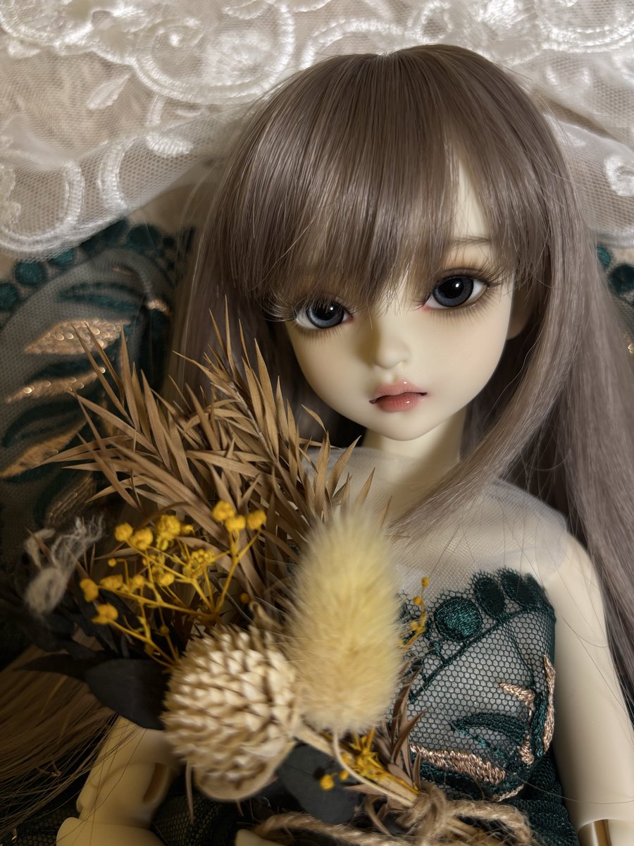 Sachio383's tweet photo. お迎えした日に撮影した思い出の写真。
ポーズの取らせ方がわからず、とりあえず顔面の強さで…！笑
まだまだうちの子の可愛さを引き出せる納得のいく写真が撮れておらず勉強中です…

#2026ドル沼フォト��ン https://t.co/wFBk59CIlq