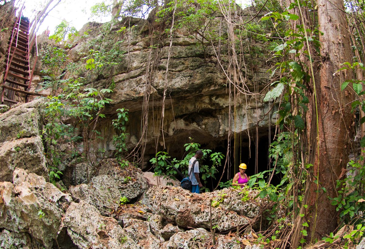 tobuildavillage's tweet photo. Today marks the first-ever International Day of Caves and Karst! 🪨💧🇭🇹https://t.co/rziUXnBoaD -and- https://t.co/XYa1NXfKBi https://t.co/BUeHuELJHj