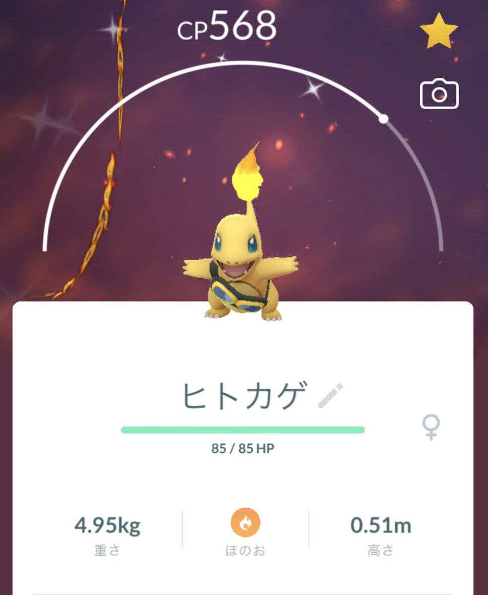 __soy_poke's tweet photo. ⠀
スポライ￤ヒトカゲ🔥❤️‍🔥

自力で出なくて、落ち込んでたら、
BOXに居た！！！！🥹🥹

 #ポケモンGO
 #Pokemon
  ⠀ https://t.co/NNaHYDg71x