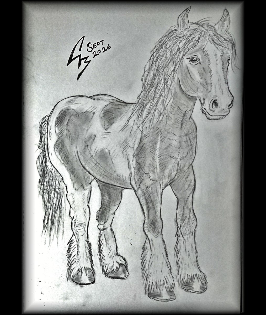TheSoulGrinder's tweet photo. Day 278 of my #dailysketch.  This is the Galloway Horse, a sure-footed and reliable steed famously used by Celtic tribes.  Sadly extinct now, but its ancient DNA still shapes Britain's hardiest native pony breeds today.

#galloway #horse #celticrpg #creaturedesign #pencilsketch https://t.co/trqqzlqbYR