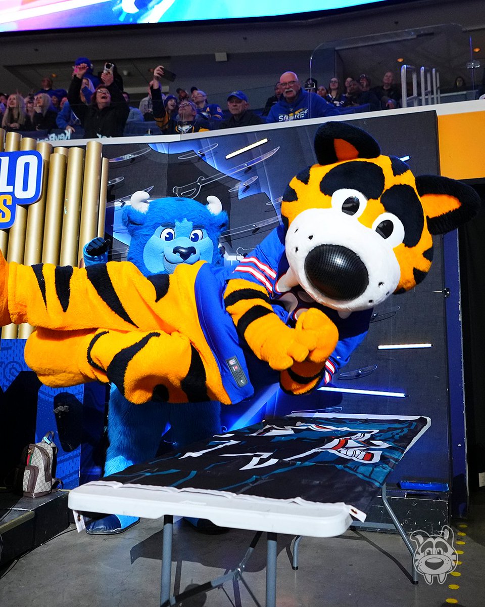 Sabretooth_NHL's tweet photo. *ahem* GO BILLS‼️ https://t.co/Inta8PRzZp