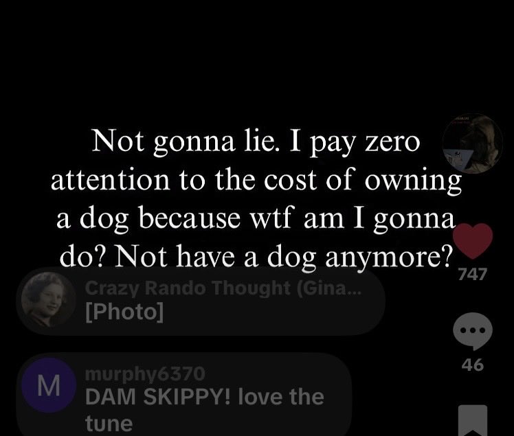 BlogBigdogs's tweet photo. I don’t want to know. It’s just better for all if I don’t! #bigdog #mastiff #cost #dog #reel https://t.co/0CAkbml3sF