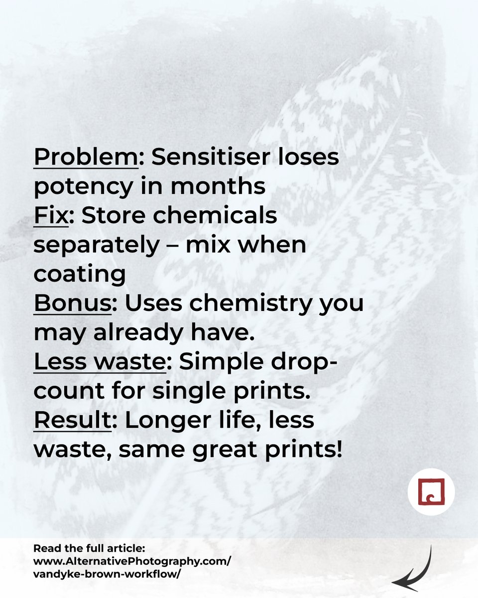 alternativephot's tweet photo. Want to make your Vandyke Brown chemistry last longer?
Extend the chemistry’s life and cut waste—mix only what you need, when you need it.
Learn Brittonie Fletcher's workflow:
👉 https://t.co/3ixKN6Gpmf
#VandykeBrown #Altprocess #AlternativeProcess https://t.co/QwQouPvtc9