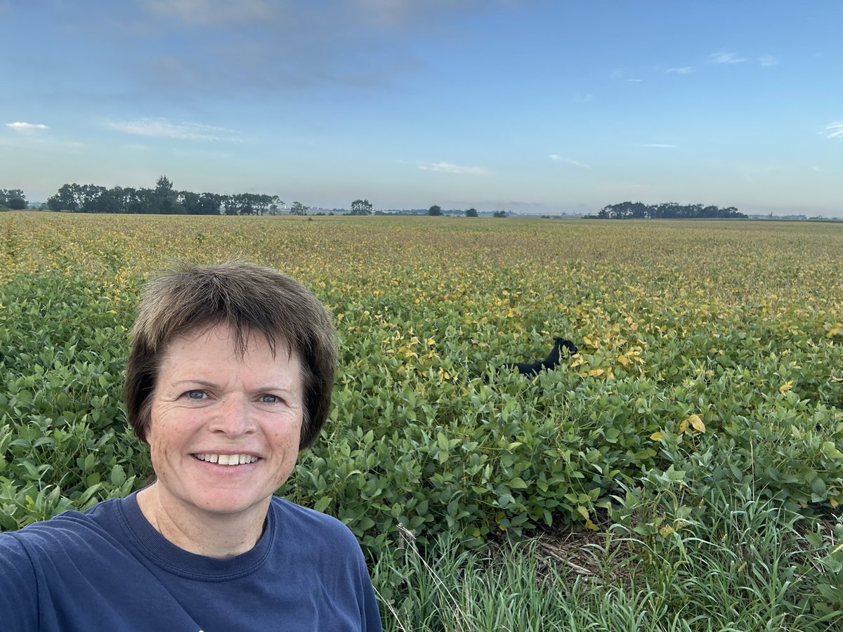 605LMN's tweet photo. Getting my run 🏃‍♀️ in this morning…wasn’t it just yesterday these beans 🫘 were popping through the ground?  Where did summer ☀️ go?  🍂 🍁 https://t.co/AOH4KXlmaN