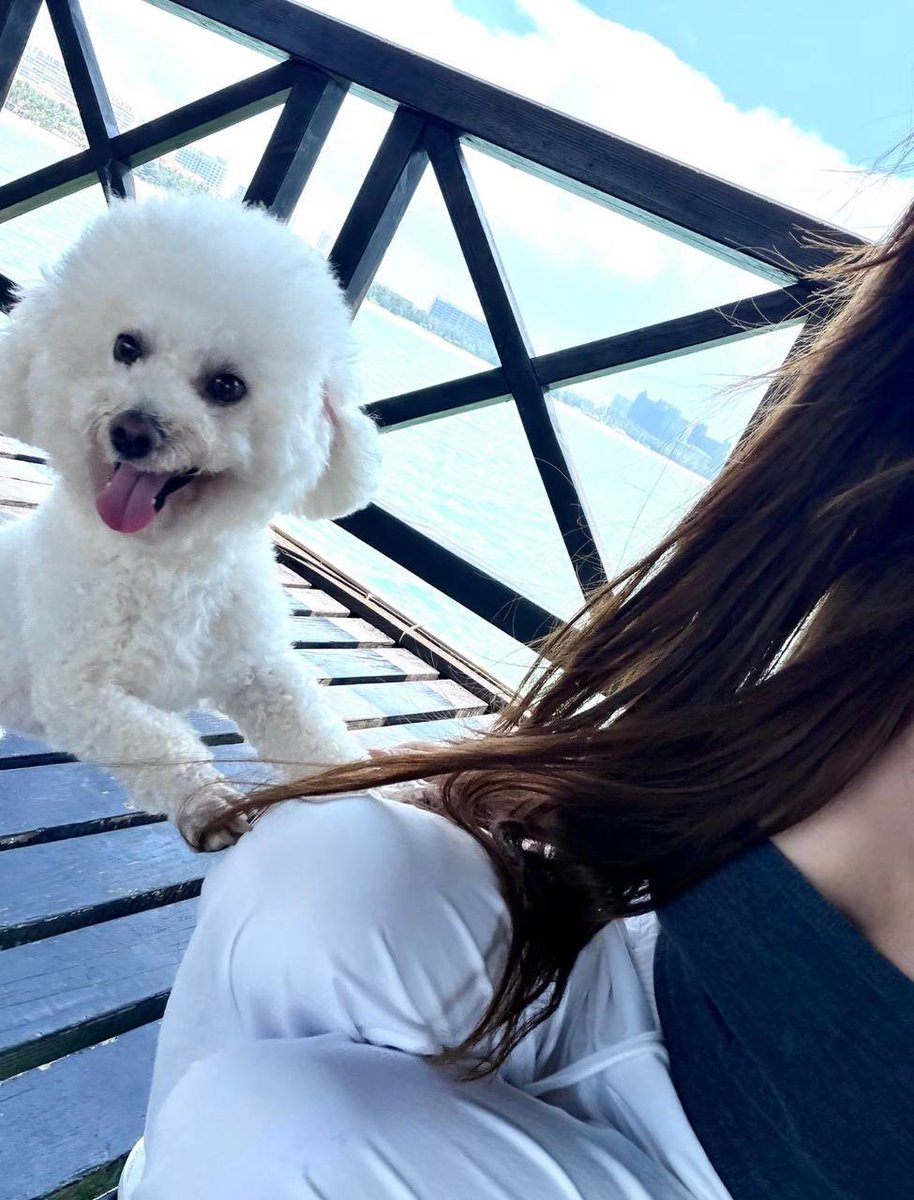 KateGriff16's tweet photo. Today's dose of happiness has arrived!A puppy, a little sunshine,plus a soft, cuddly cutie, and all worries automatically retreat!#PetLife #Puppy #CutenessOverload #DailyDoseOfCute #HappyLife #HeartwarmingMoments #DogCompanion #PetDiary https://t.co/mCR2BJ2aNp