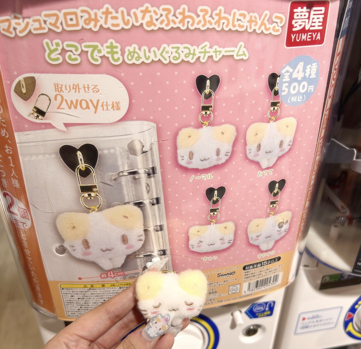 sumo_chu's tweet photo. マシュマロみたいなふわふわにゃんこ
ガチャガチャ回せて嬉しかったᐡ ʚ̴̶̷ ‧̫ ʚ̴̶̷̥̀ ᐡ💖
予約分もとどいて、これにて完！
⬆️5月に予約してて、ｬﾊﾞ
これからも、どこでも一緒に行こうね♬ https://t.co/NrxhDZSh4N