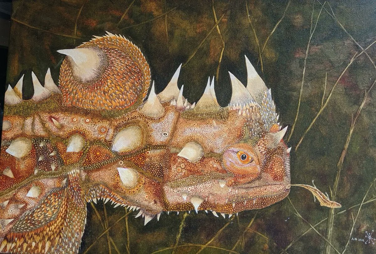 RodDonatelnfc's tweet photo. Thorny Devil oil painting on canvas—beautiful. https://t.co/3YGVxjmYSX