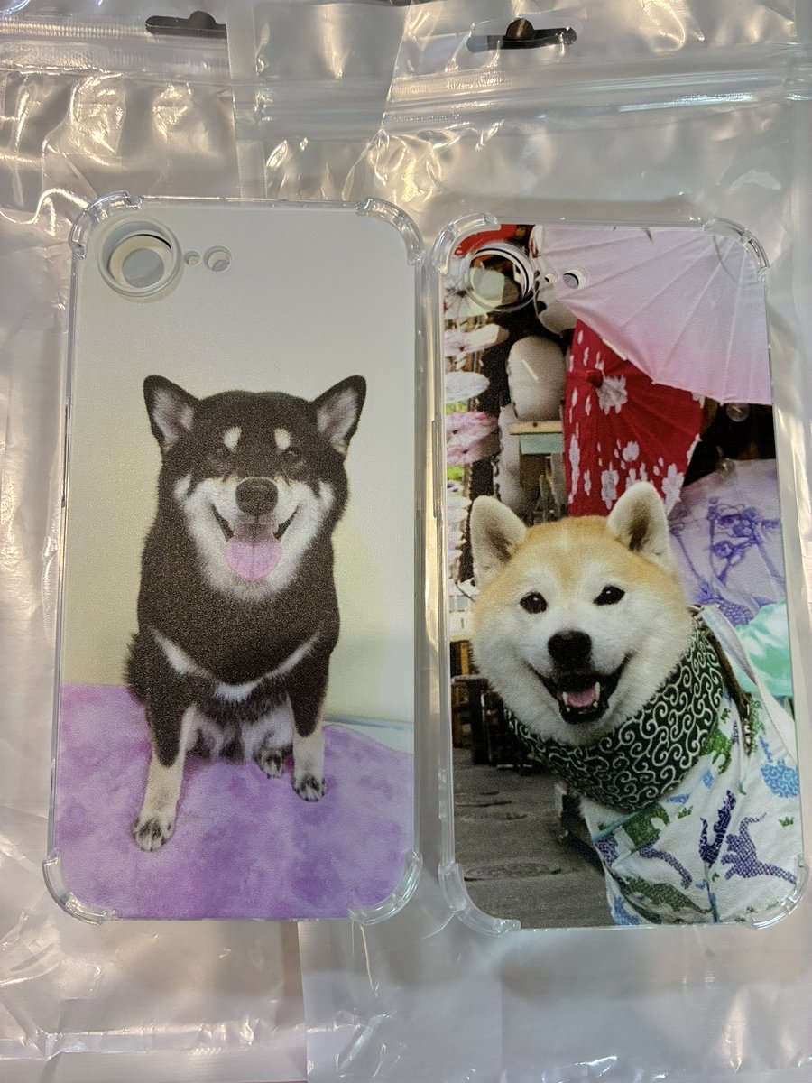 ymt0623's tweet photo. iPhone買い換えたから
うちの子達の写真でケース作成📱🐶💕

きゃわたんすぎる🤦‍♀️✨🩷
シリコンだから落としやすい私に優しい🤣笑

#柴犬 #犬好きさんと繋がりたい #shibadog #柴犬のいる生活 #柴犬のいる暮らし #柴犬のいる幸せ #柴犬を崇めよ #イッヌ #愛犬 #黒柴 #赤柴 https://t.co/Ut8uO55G6C