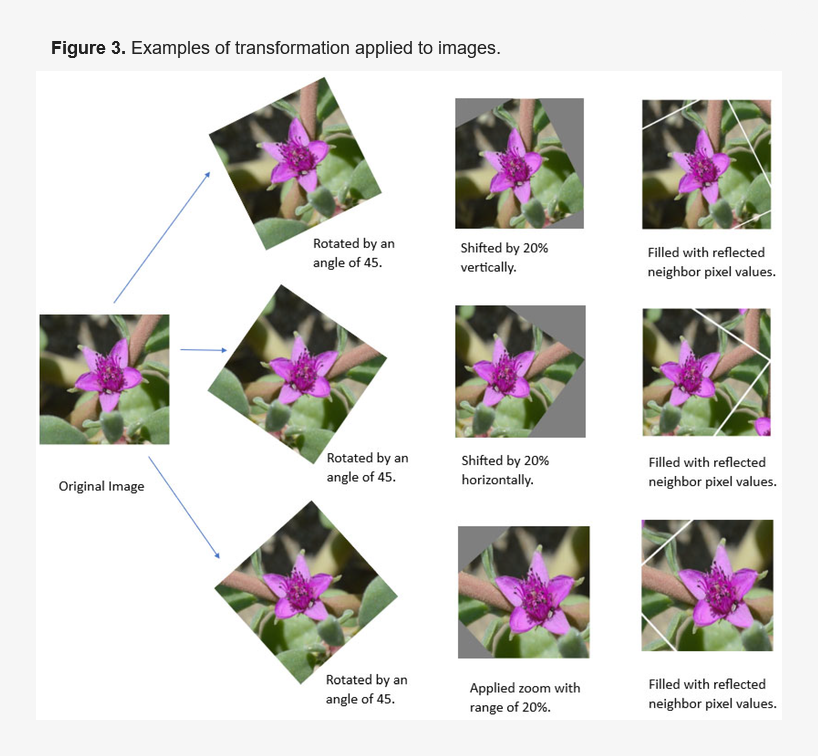 DiversityMDPI's tweet photo. 🌸 PTL-Inception: Integrating Deep Learning and Taxonomy for Desert Plant Classification

👥 Yonis Gulzar et al.
🔗 Read at: https://t.co/FGH7Kmn4Sz

#Diversity #DesertPlants #Taxonomy
#BiodiversityAssessment
#SpatialPhylogenetics #Edemism
#Conservation #ImageClassification https://t.co/8Iflx4Zr7w