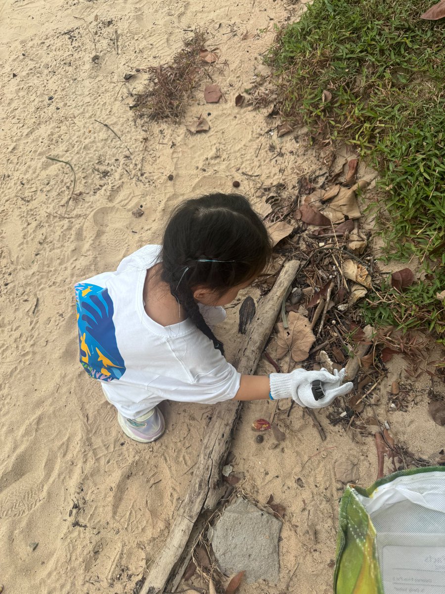 EUinSingapore's tweet photo. Starting young  #ForOurPlanet 🌏🌍🌎🌊🐠🌊

Inspiring little steps at the #EUBeachCleanup here in Singapore.💙

#EU4Ocean #WorldCleanupDay #SaveOurOcean #EUBeachCleanup2026 https://t.co/lKqlObT92D