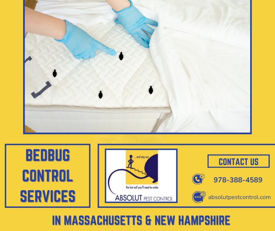 AbsolutPest4's tweet photo. If you believe your home has been infested with bedbugs, contact a team of trained, experienced professionals like ours. Absolut Pest Control proudly serves MA &amp; NH!
https://t.co/0RrfqOm4ko 
#bedbugs #pestcontrol #MA #NH #extermination https://t.co/qJ7ypu4MvF