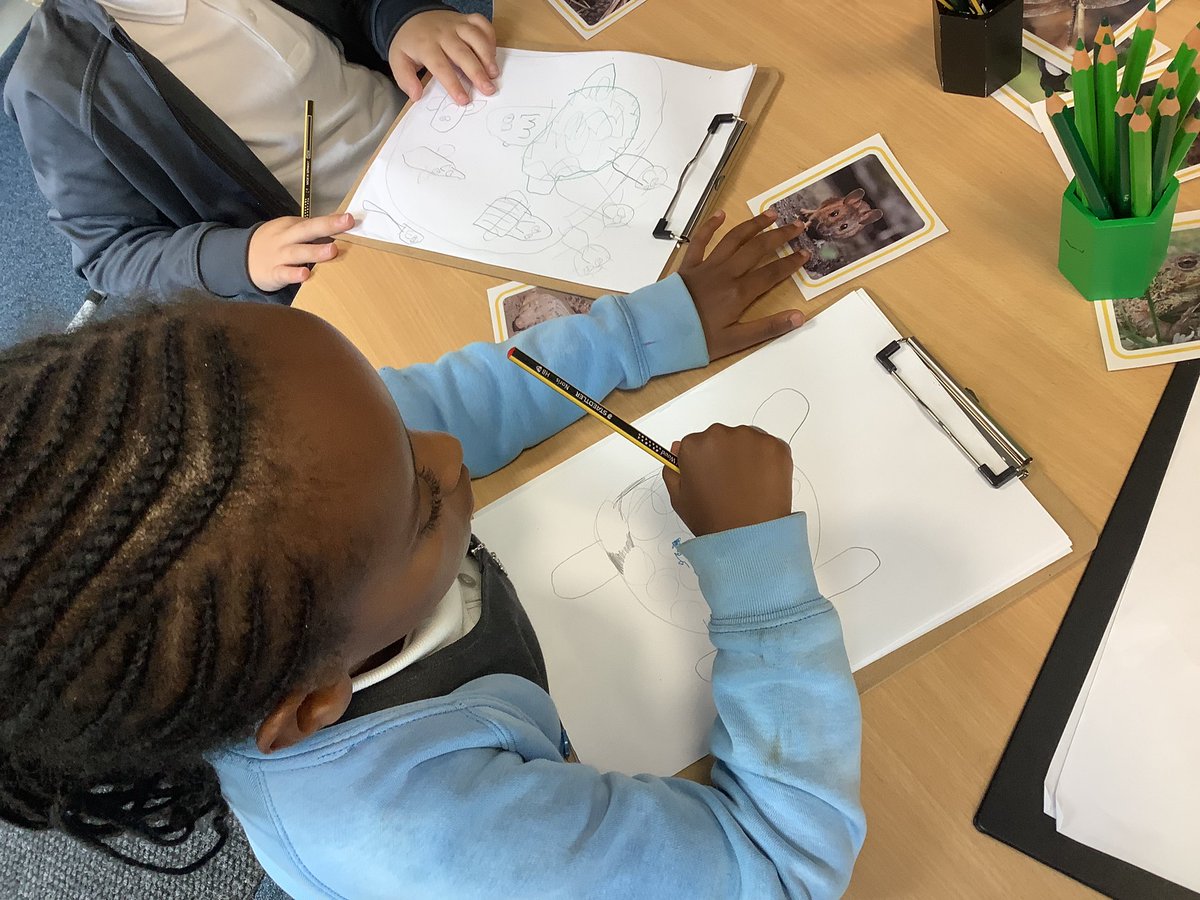 Gaskell_KS1's tweet photo. 1R have been looking at different types of animals. 🐶🐰🦎🐟@GaskellScience https://t.co/Yc9Jjz8EpP