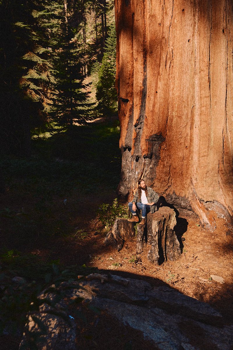 Avi_Kaplan's tweet photo. Here's some more behind the scenes of our Sequoia Sessions (don't worry, there's more on the way) 💚 https://t.co/5x0ye5U2IQ