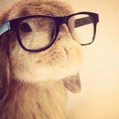 NdarP4's tweet photo. #NewProfilePic https://t.co/gdC5AaVEKb