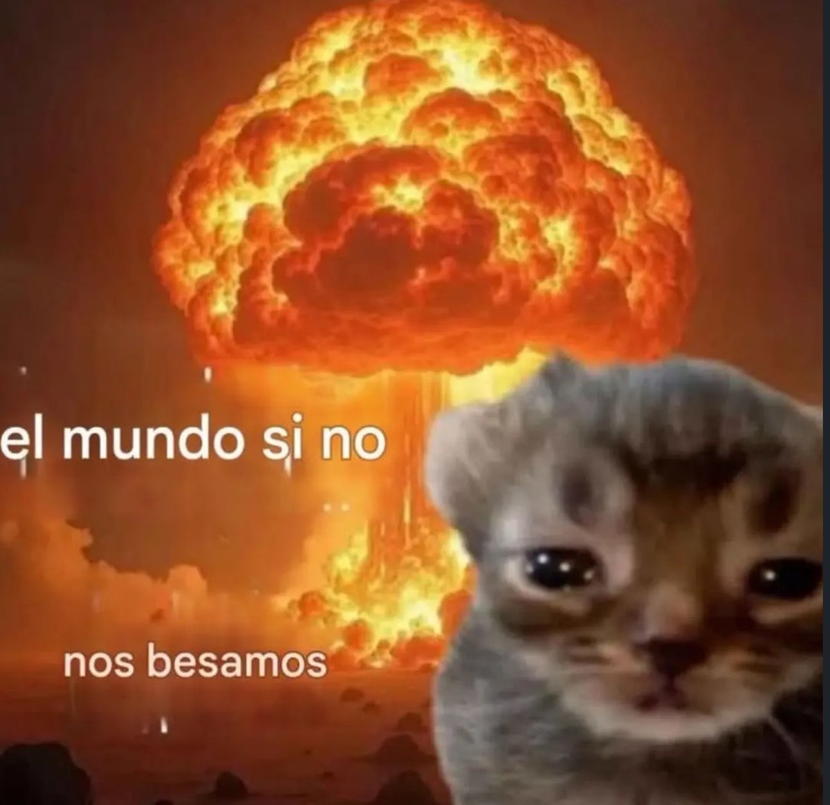 skereunpesado's tweet photo. https://t.co/YAtXnenBsV