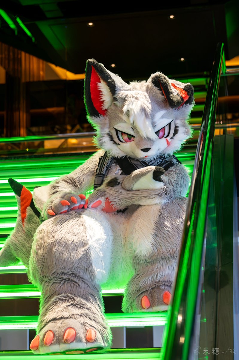 Anya_oOkami's tweet photo. 僕のものになろう！名案だろ？

📷：@Maltose_m 

#FursuitFriday #万界通行 #wwpass https://t.co/wVXWiHFeGa