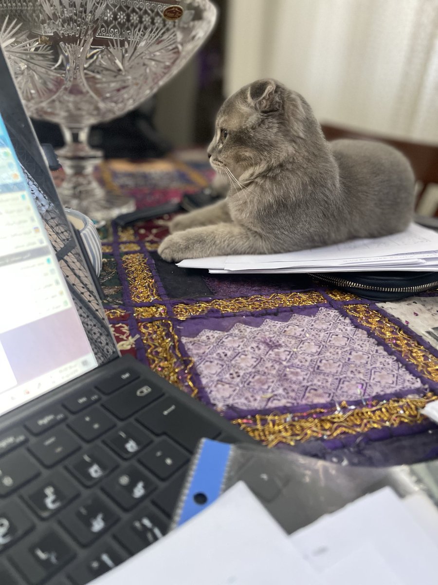 dokhtarakbagh's tweet photo. @Gemini_m_a_h_2 درباره این حسود خان
شخصیتی کاریزماتیک جذاب و خواستنی 😂 https://t.co/8mnpX2yyOW