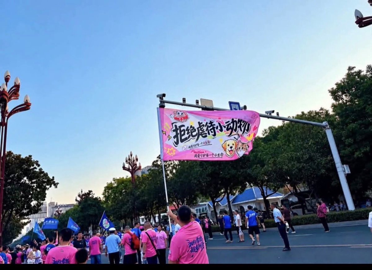 meganchen0101's tweet photo. @whyyoutouzhele 20260916💜湖南常德 https://t.co/NgiAbwjiGX