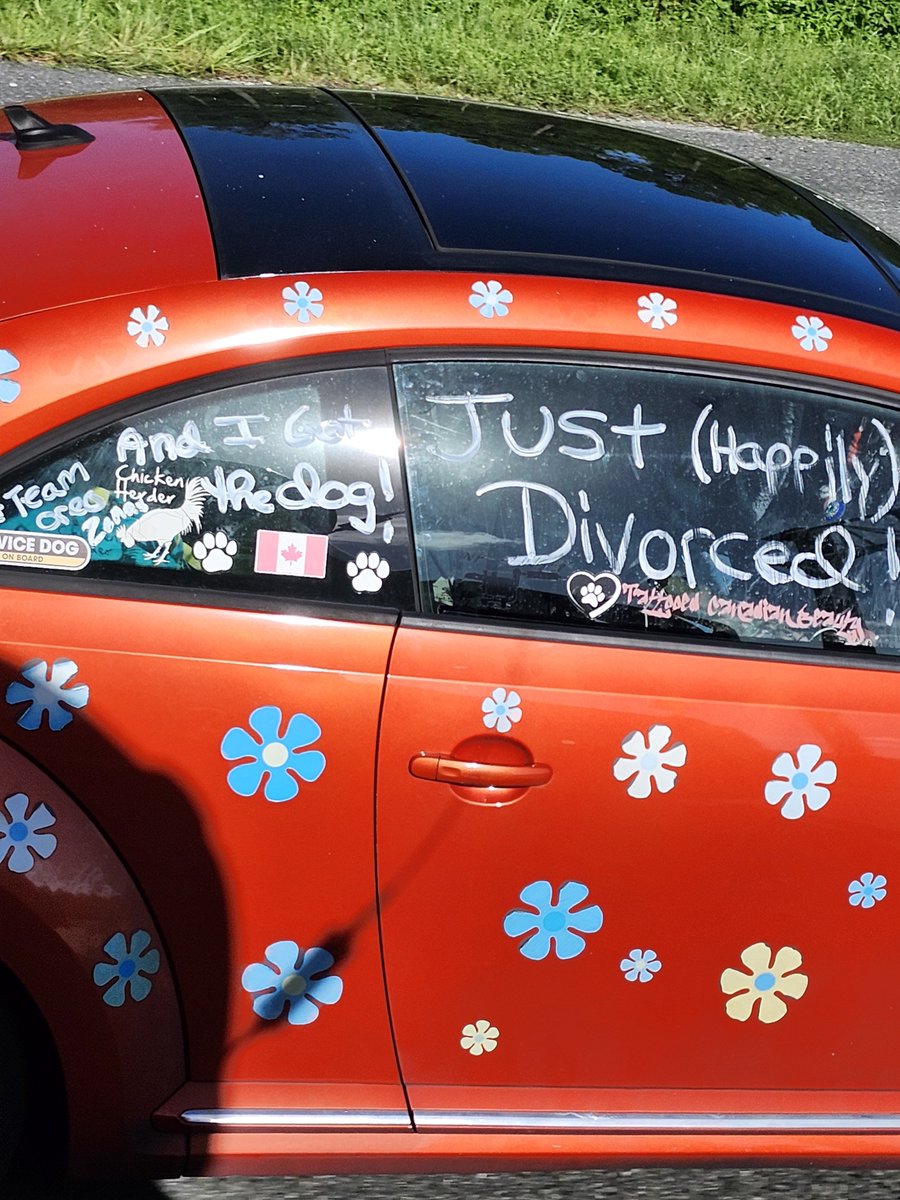 bcptrans250's tweet photo. Just saw this VW Bug going I-95 North at the Florida/Georgia line and bursted out laughing. AND SHE'S GOT THE DOG!!! Good for her. Absolutely hilarious! https://t.co/Pk1D0bLK0z