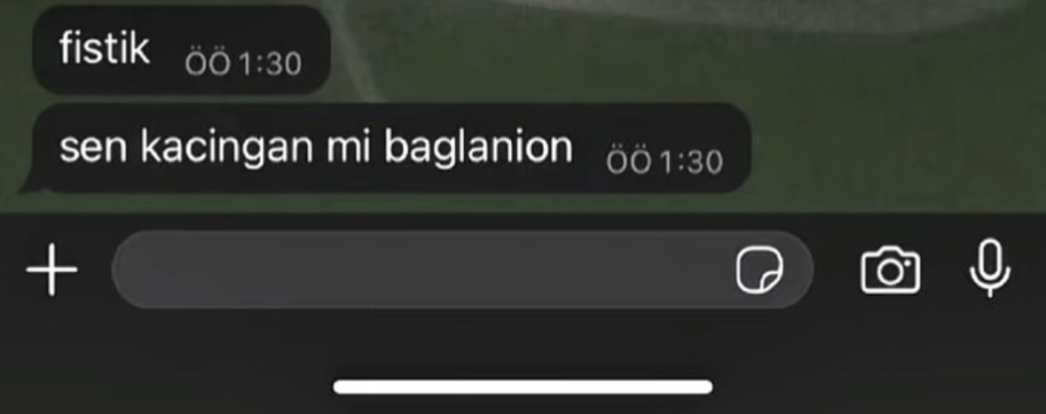 lal1nn's tweet photo. @olmektenbetermi fistik ben kacıngan baglanıorum bi kac kisiyi yanimda yakıp gitmem lazim https://t.co/2S5ci5mb1d