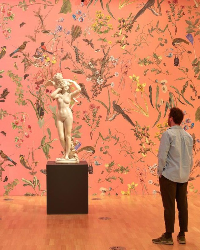 Paulvitorgol's tweet photo. 2020, during the NGV Triennial, US-based art collective  transformed NGV’s 16th–17th century galleries into a lush, immersive environment.

Our walls showcased Australian plants and wildlife from Melbourne—rangin... https://t.co/tOgNDizbCt
