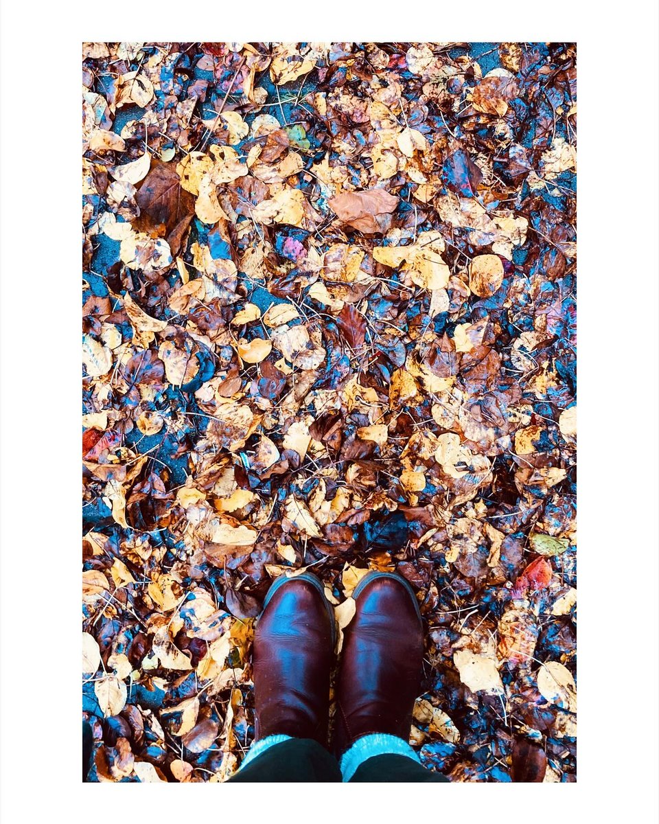 LyndonLuntad's tweet photo. 25 November. In London for the day, but stuck in a meeting room throughout. A quick snap to remind both you and me that apparently, it’s still autumn. https://t.co/u7BLEdVGef
