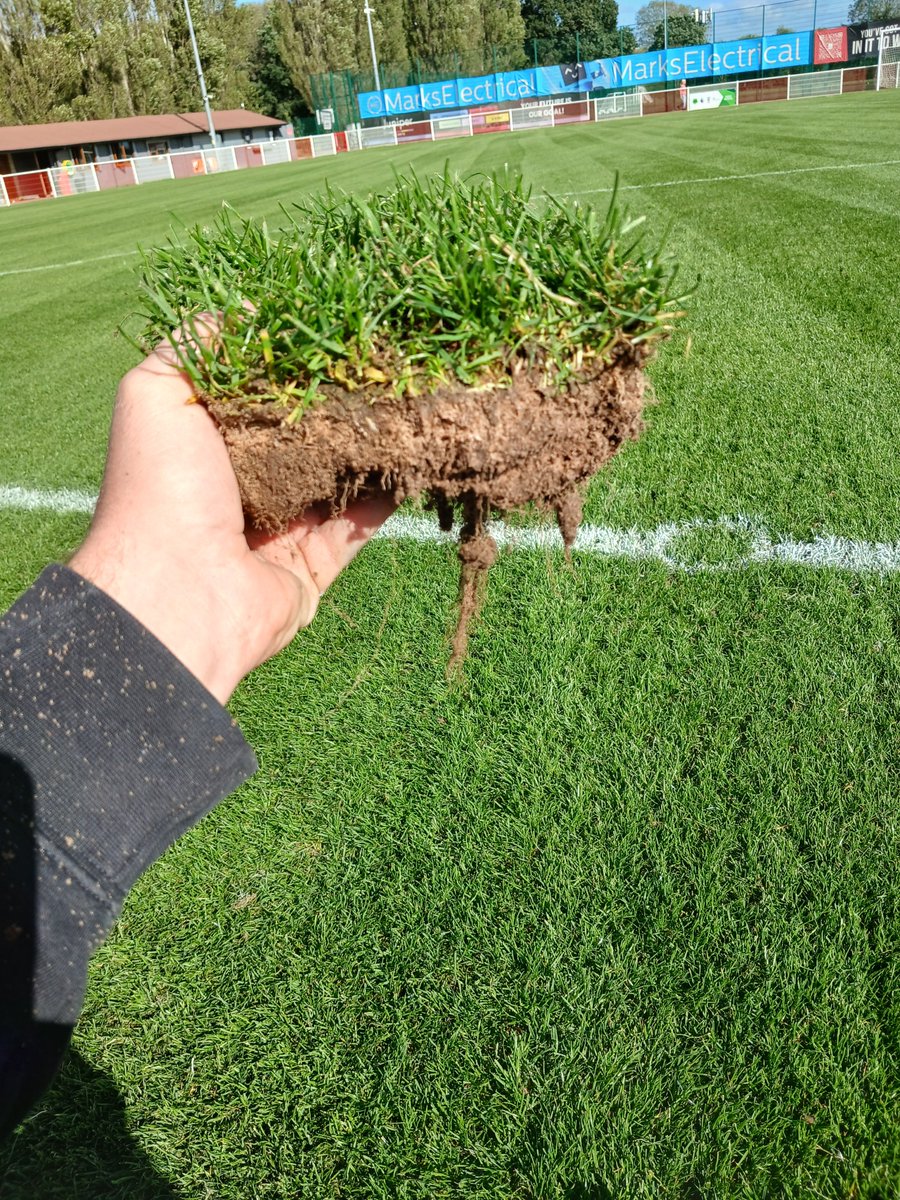 apgrounds's tweet photo. .@ICL_Turf PS1 seed and nutrition pushing thw root development on this season. Not just about what you see on the surface https://t.co/37L7h0IDbb