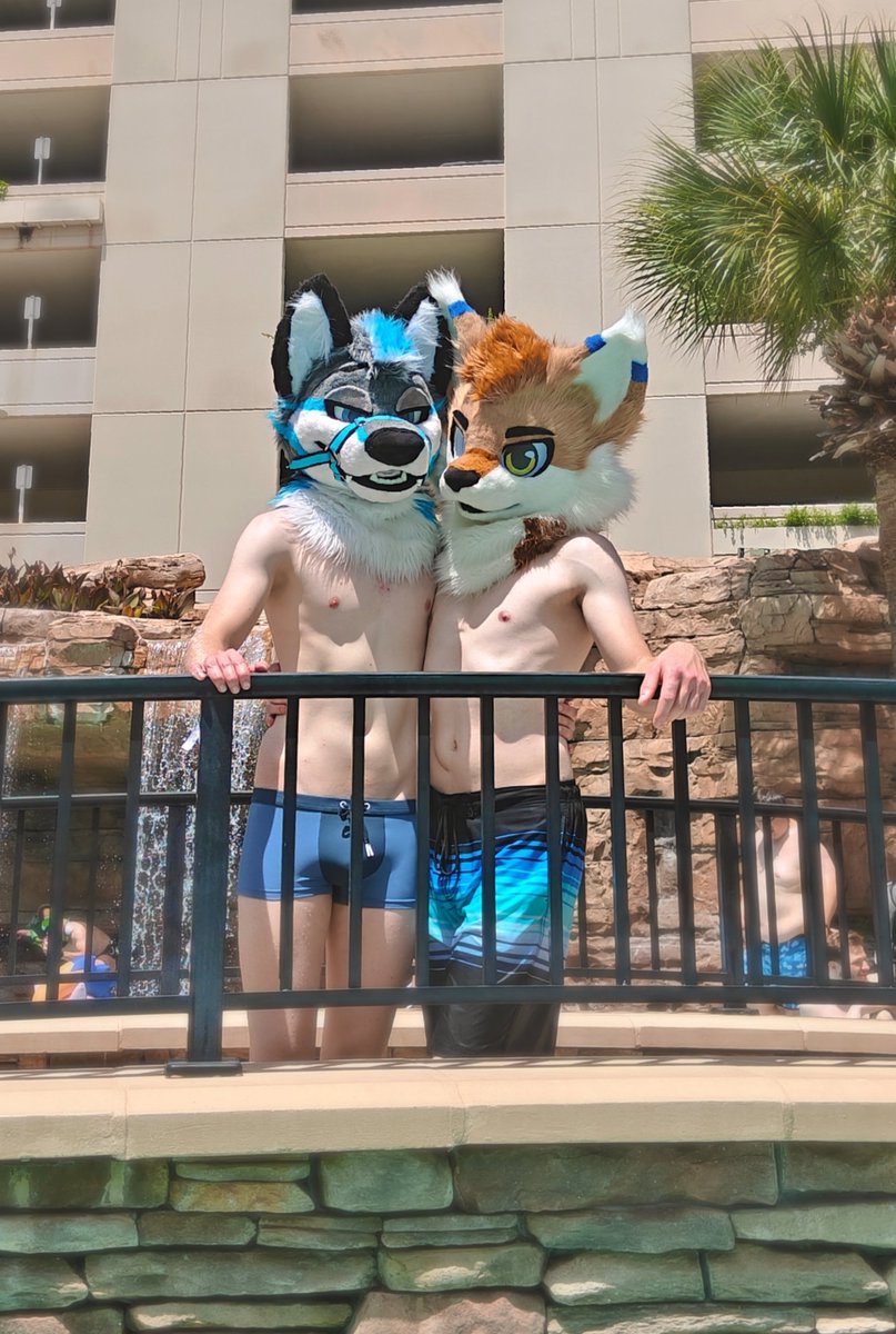KnoxTheWolf's tweet photo. Missing the pool vibes from #Megaplex2026 https://t.co/Z9WAeLtbjN