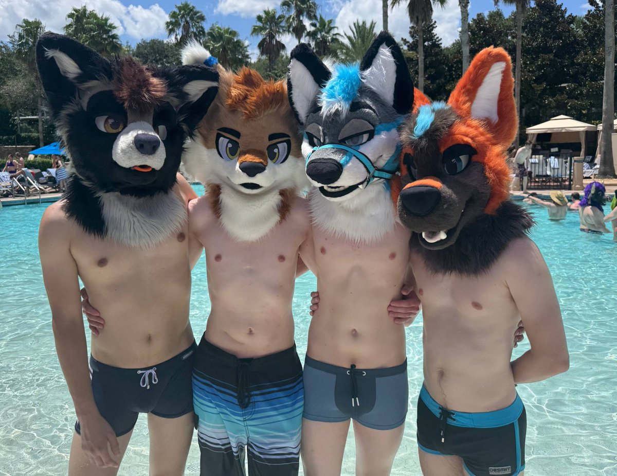 KnoxTheWolf's tweet photo. Missing the pool vibes from #Megaplex2026 https://t.co/Z9WAeLtbjN